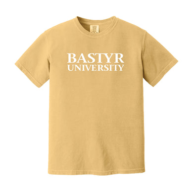 Bastyr Heavyweight Ringspun T-Shirt