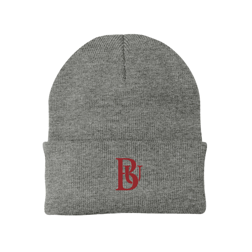 Bastyr Knit Cap Beanie  - Light Grey w/ Cranberry BU