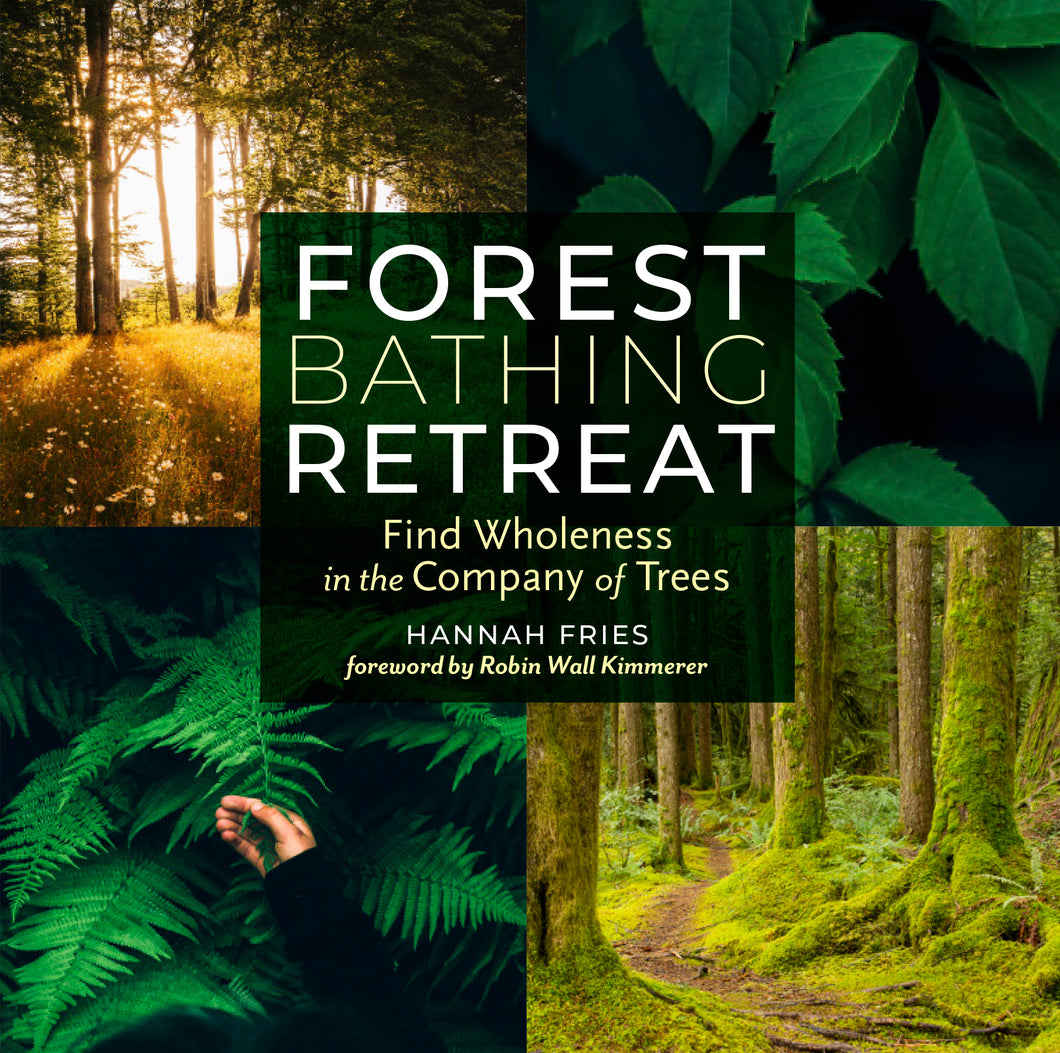 Forest Bathing Retreat