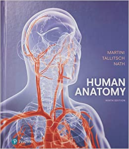 Human Anatomy, 9th edition