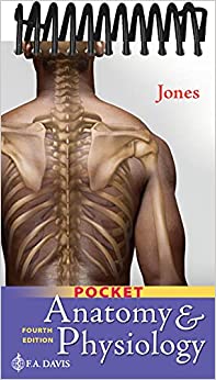Pocket Anatomy & Physiology, fourth edition