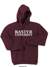Load image into Gallery viewer, Bastyr Logo Adult Hoodie