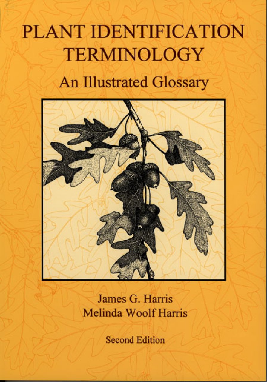 Plant Identification Terminology, 2nd ed.