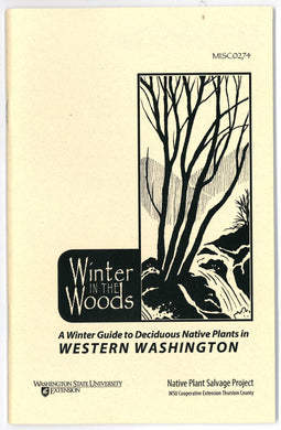 Winter in the Woods